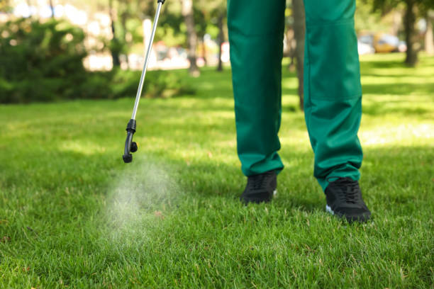 Best Insect Control  in Oberlin, KS