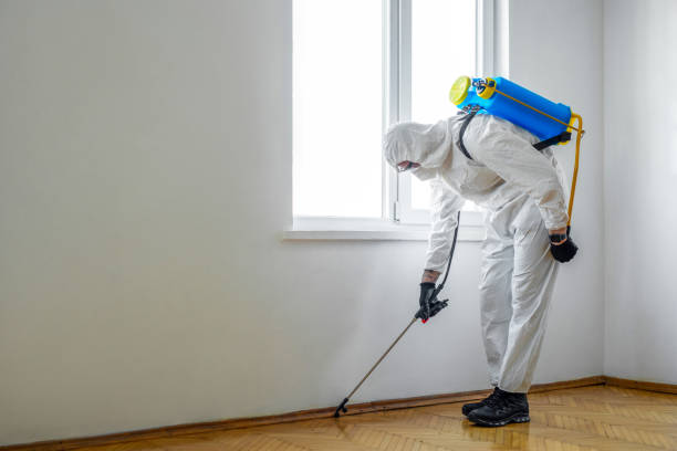 Best Termite Control Services  in Oberlin, KS