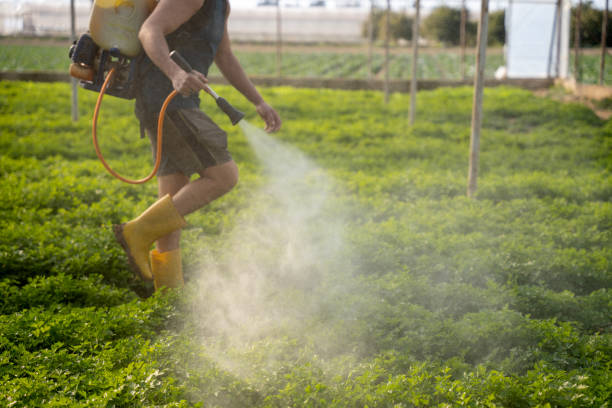 Best Affordable Pest Control Services  in Oberlin, KS
