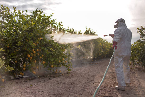 Best Emergency Pest Control  in Oberlin, KS